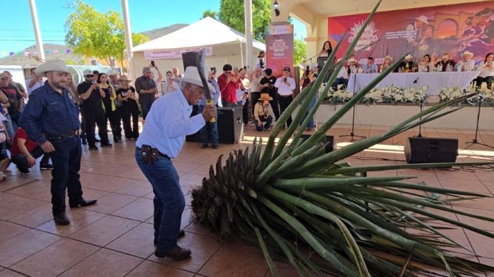 Con éxito se realizó la séptima edición del Bacanora Fest en Rosario de Tesopaco, Sonora