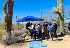 Foto ilustrativa de nota Hallan en Sonoyta panteón clandestino con al menos 22 cuerpos; FGJES inicia pruebas de ADN