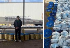 Foto ilustrativa de nota Detienen a chofer de tráiler al norte de Sonora; transportaba más de 150 kilos de metanfetamina