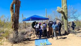 Foto que representa a Hallan en Sonoyta panteón clandestino con al menos 22 cuerpos; FGJES inicia pruebas de ADN