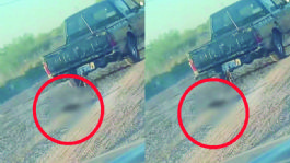 Foto que representa a VIDEO: Indigna en redes perrito arrastrado por camioneta en Ciudad Obregón