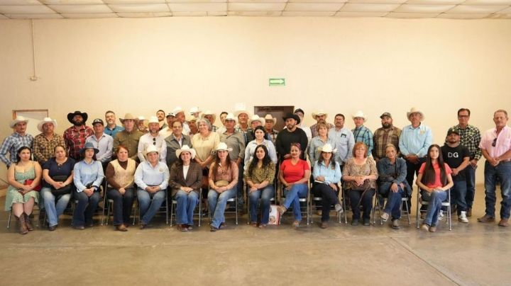 Sonora impulsa financiamiento millonario para fortalecer la engorda de ganado