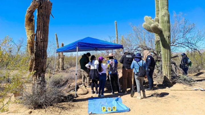 Hallan en Sonoyta panteón clandestino con al menos 22 cuerpos; FGJES inicia pruebas de ADN