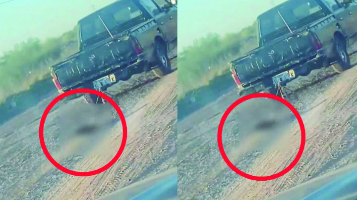 VIDEO: Indigna en redes perrito arrastrado por camioneta en Ciudad Obregón