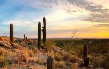 Clima HOY en Sonora: ¡Toma precauciones! Advierten calor de hasta 40°C y fuertes vientos