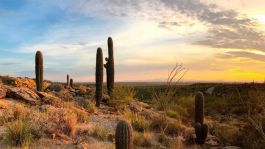 Foto que representa a Clima HOY en Sonora: ¡Toma precauciones! Advierten calor de hasta 40°C y fuertes vientos