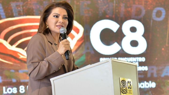 "La minería mexicana es competitiva a nivel mundial": Lorenia Valles