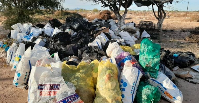 Más de 273 mil toneladas de residuos son retiradas de playas de Bahía de Kino
