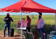 Foto ilustrativa de nota Día del Agricultor: Celebran en Navojoa a la comunidad agrícola; muestran avances tecnológicos