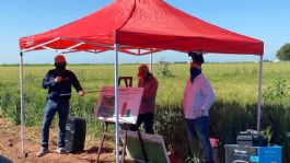 Foto que representa a Día del Agricultor: Celebran en Navojoa a la comunidad agrícola; muestran avances tecnológicos