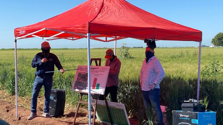 Día del Agricultor: Celebran en Navojoa a la comunidad agrícola; muestran avances tecnológicos
