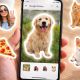 Adiós a las apps de terceros: Así puedes crear stickers con tus imágenes en Google Fotos
