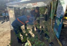 Foto ilustrativa de nota Participan ciudadanos de Hermosillo en nueva jornada de donación de árboles nativos