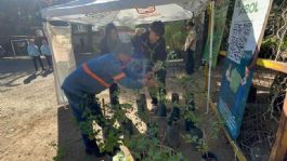 Foto que representa a Participan ciudadanos de Hermosillo en jornada de donación de árboles nativos
