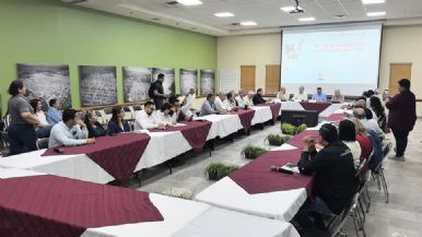 Descripción de la imagen