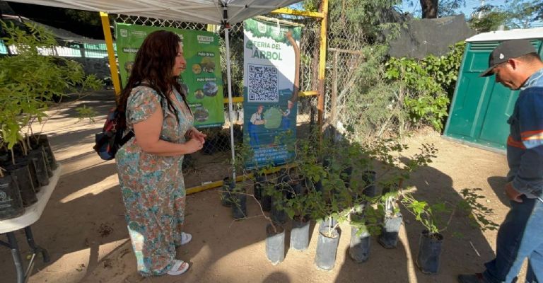 Participan ciudadanos de Hermosillo en jornada de donación de árboles nativos