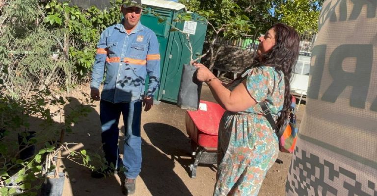 Participan ciudadanos de Hermosillo en jornada de donación de árboles nativos