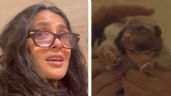 Foto ilustrativa de la nota titulada: (VIDEO) Acto de amor de Salma Hayek, rescata a una perrita y ahora busca hogar para 10 cachorros