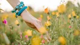 Foto que representa a ¿Por qué el día y la noche duran lo mismo en el equinoccio de primavera? Te lo explicamos