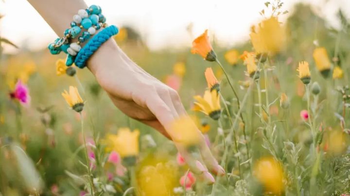 ¿Por qué el día y la noche duran lo mismo en el equinoccio de primavera? Te lo explicamos