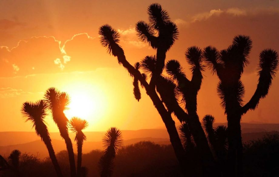 Clima en Sonora: Conagua da el pronóstico para este sábado 21 de marzo del 2026, ¿será soleado o nublado?