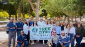 Foto ilustrativa de la nota titulada: Reconocen a Hermosillo como Ciudad Árbol en el Mundo por segundo año consecutivo