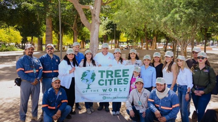 Reconocen a Hermosillo como Ciudad Árbol en el Mundo por segundo año consecutivo