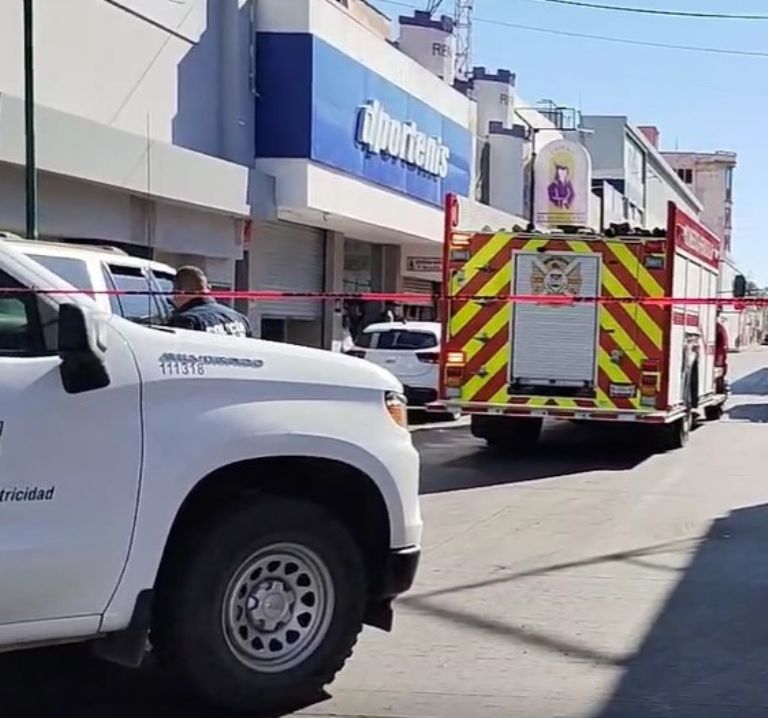 Un ave provocó el susto 