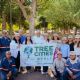 Reconocen a Hermosillo como Ciudad Árbol en el Mundo por segundo año consecutivo