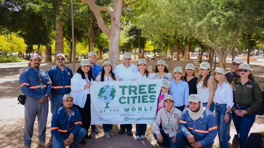 Reconocen a Hermosillo como Ciudad Árbol en el Mundo por segundo año consecutivo