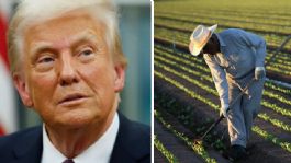 Foto que representa a Donald Trump amplía visas agrícolas, pero recorta hasta 32% los sueldos de trabajadores extranjeros