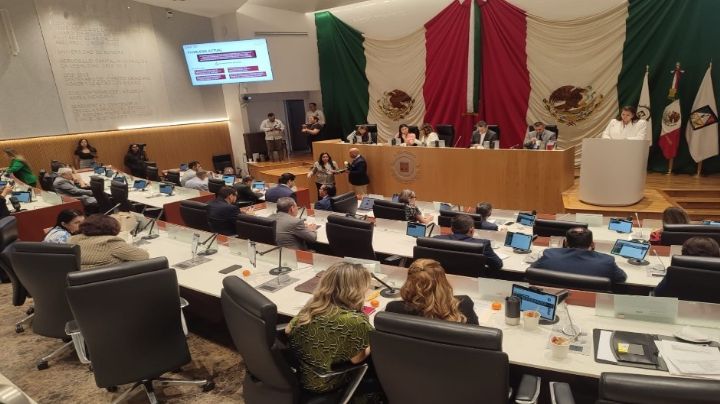 Propone diputada de Sonora, Vicky Espinoza, decreto para proteger datos personales en línea