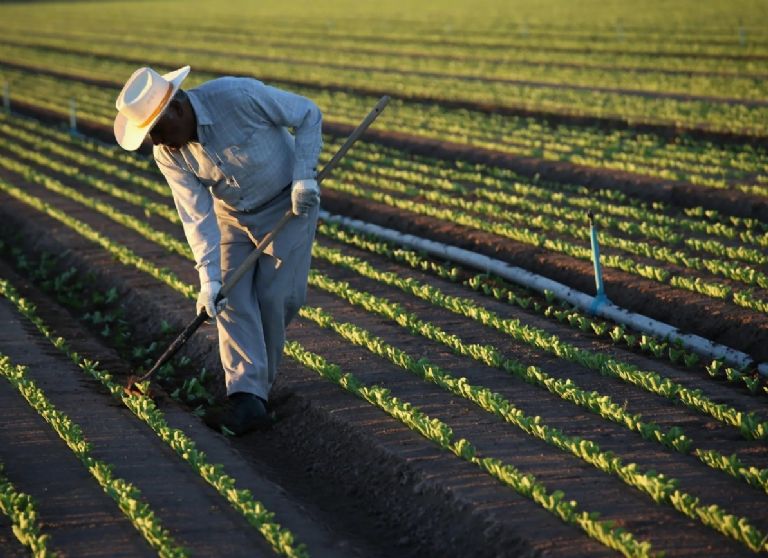 Los salarios se reducirán 
