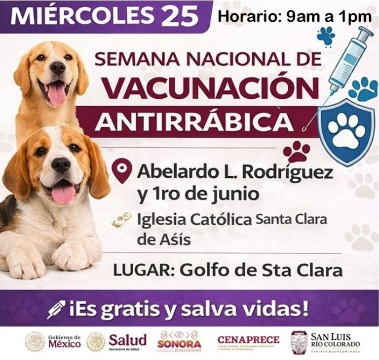 Semana Nacional de Vacunación Antirrábica: Gobierno de Sonora refuerza la protección animal