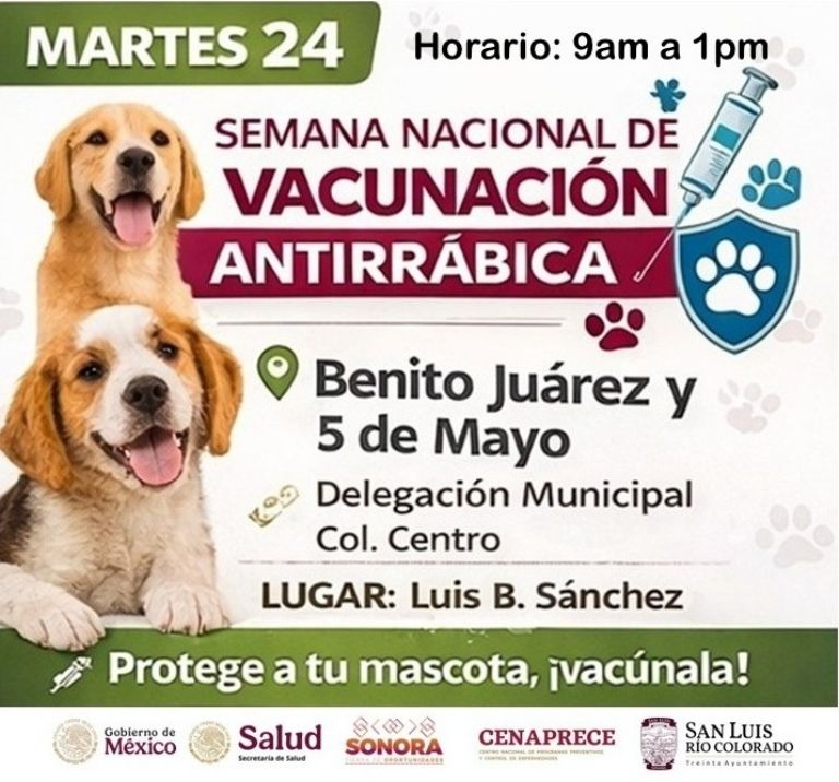 Semana Nacional de Vacunación Antirrábica: Gobierno de Sonora refuerza la protección animal