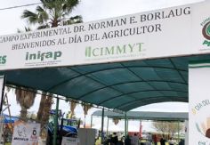 Foto ilustrativa de nota Celebran 70 años del Día del Agricultor en el Valle del Yaqui con feria y actividades