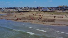 Foto que representa a Gobierno de México refuerza acciones ante presencia de hidrocarburos en zonas costeras de Veracruz y Tabasco