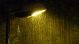 Foto que representa a Clima HOY miércoles 25 de marzo en la NOCHE: Prevén LLUVIAS FUERTES en estas regiones