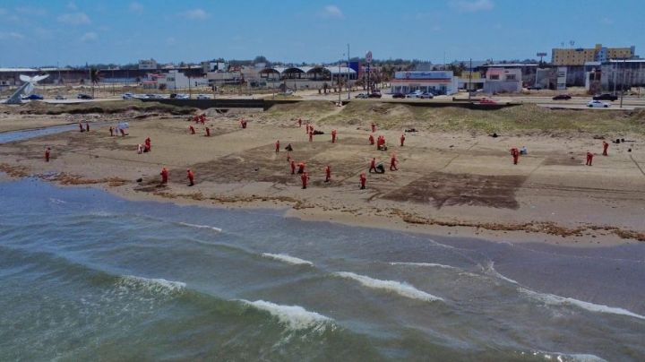 Gobierno de México refuerza acciones ante presencia de hidrocarburos en zonas costeras de Veracruz y Tabasco