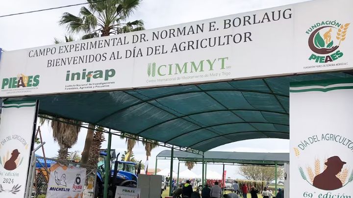 Celebran 70 años del Día del Agricultor en el Valle del Yaqui con feria y actividades