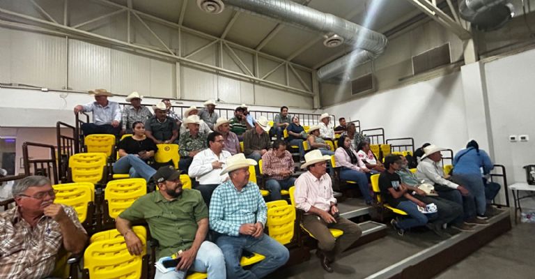 Gobierno de Sonora intensifica estrategia ganadera con enfoque en sanidad y exportación en Cajeme