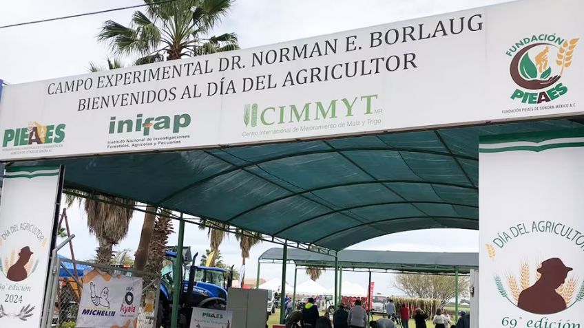 Celebran 70 años del Día del Agricultor en el Valle del Yaqui con feria y actividades