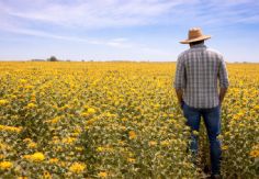 Foto ilustrativa de nota Día del Agricultor: Reconversión de cultivos, la apuesta para salvar la agricultura del sur de Sonora
