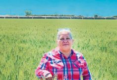 Foto ilustrativa de nota María Rojas: 30 años sembrando vida con orgullo y perseverancia en el Valle del Yaqui