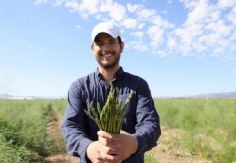 Foto ilustrativa de nota Sader Sonora destina presupuesto de 3 mil 420 mdp a beneficio de 25 mil hectáreas en el distrito de Caborca