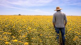 Foto que representa a Día del Agricultor: Reconversión de cultivos, la apuesta para salvar la agricultura del sur de Sonora