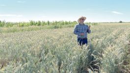 Foto que representa a Gilberto Rodríguez Pérez, profesor e investigador que impulsa la agricultura sostenible en el Valle del Yaqui