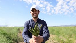 Foto que representa a Sader Sonora destina presupuesto de 3 mil 420 mdp a beneficio de 25 mil hectáreas en el distrito de Caborca