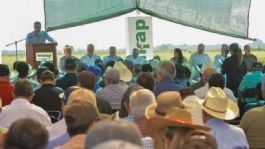 Foto que representa a Javier Lamarque reconoce los 70 años de esfuerzo agrícola en el Valle del Yaqui