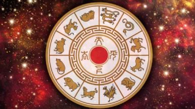 Descripción de la imagen